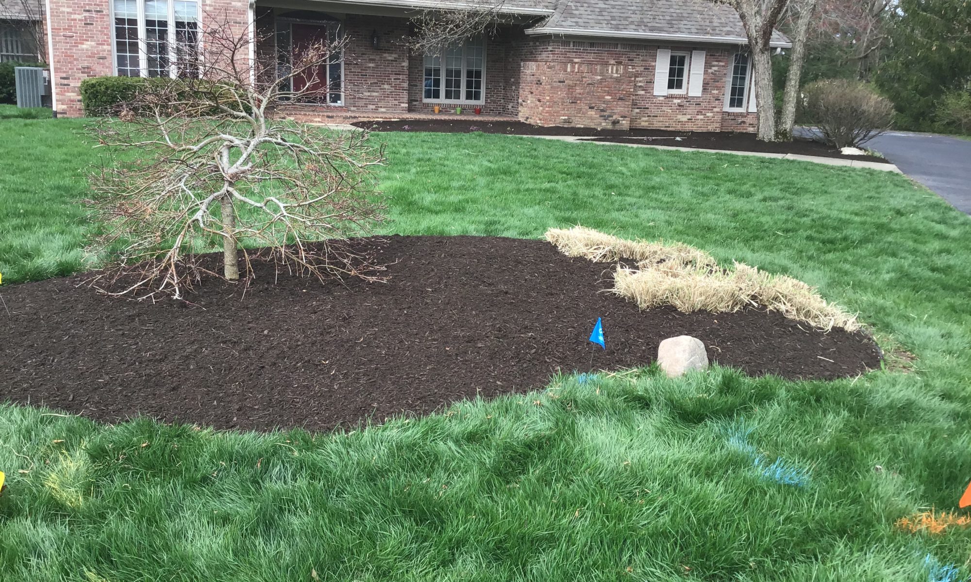 precision outdoors landscaping simple mulch plants planting flowers bushes shrubs trees