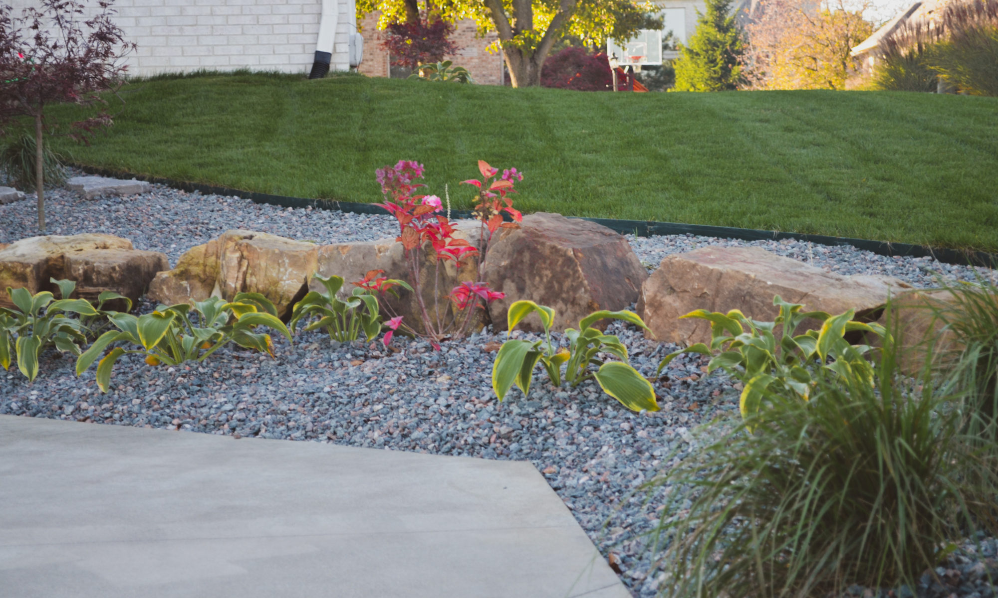Precision Outdoors Poolside Landscaping Project Custom landscaping plants shrubs small boulders indianapolis Indiana dream backyard