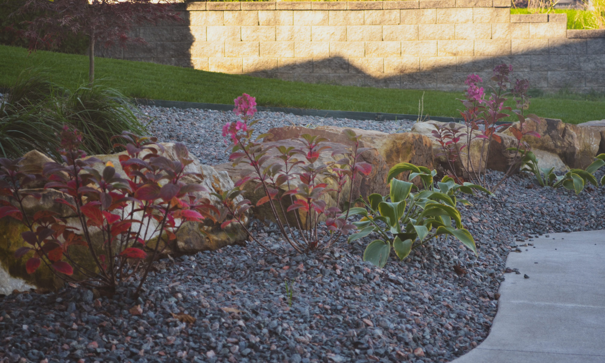 Precision Outdoors Poolside Landscaping Project Custom landscaping plants shrubs small boulders indianapolis Indiana dream backyard