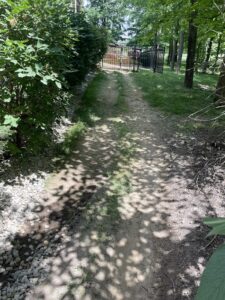 IMG233
