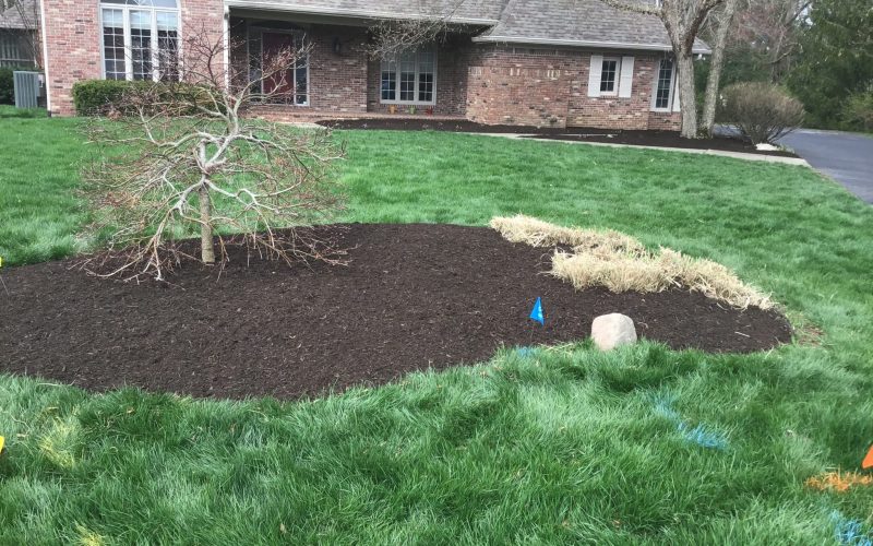 precision outdoors landscaping simple mulch plants planting flowers bushes shrubs trees